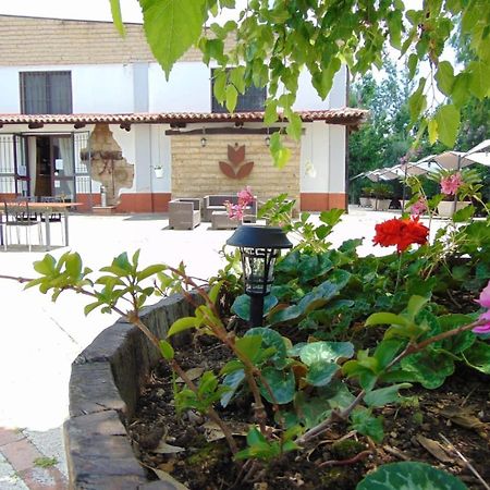 Bed and Breakfast Casale Rurale San Marco Evangelista Exterior foto