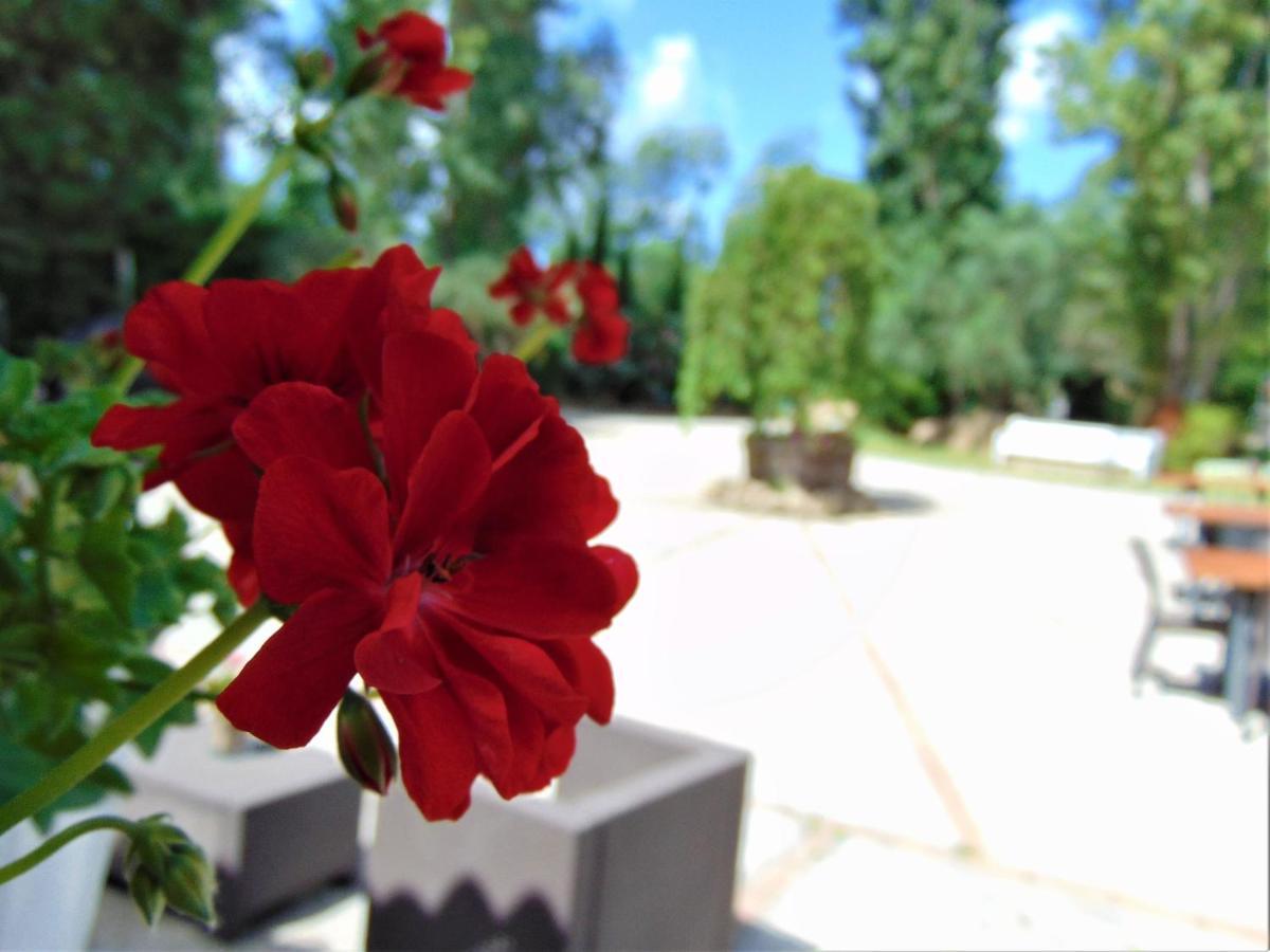 Bed and Breakfast Casale Rurale San Marco Evangelista Exterior foto