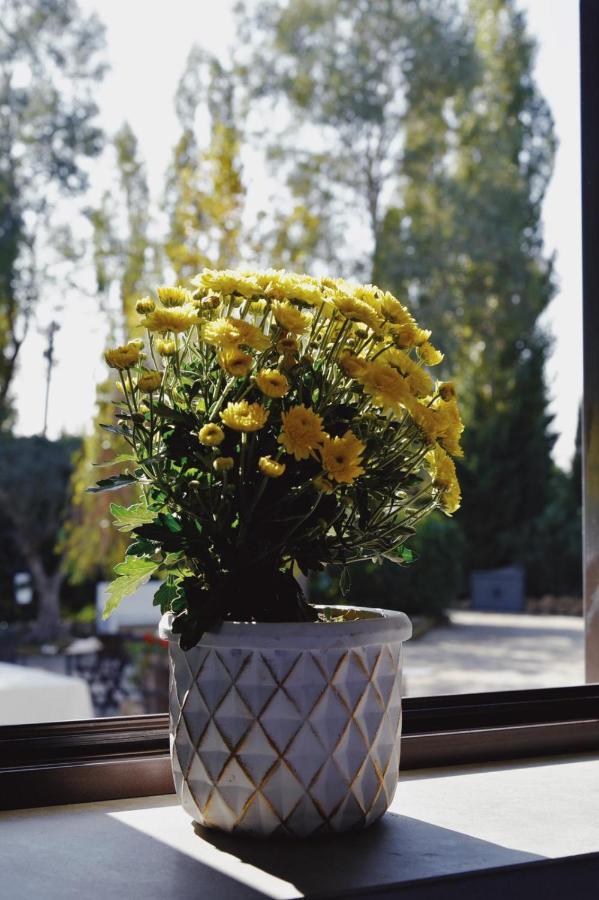 Bed and Breakfast Casale Rurale San Marco Evangelista Exterior foto